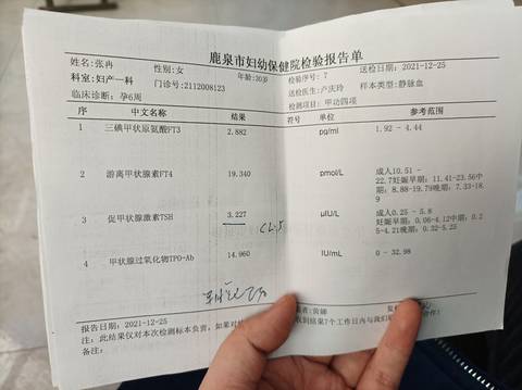 journal_insert_pic_1686482304