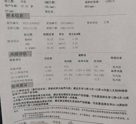 journal_insert_pic_1675306653