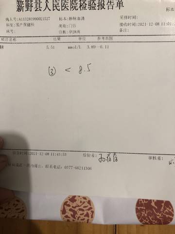 journal_insert_pic_1684302691