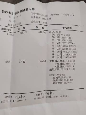 journal_insert_pic_1681893597