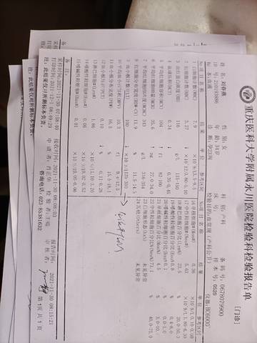 journal_insert_pic_1673960220