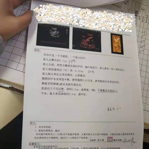 journal_insert_pic_1685424042