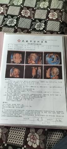 journal_insert_pic_1677041130