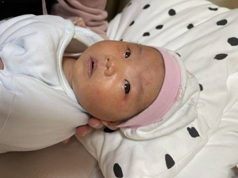 journal_insert_pic_1673779409