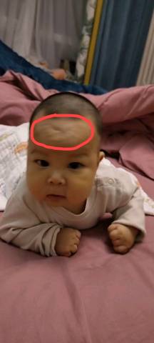 journal_insert_pic_1686955476