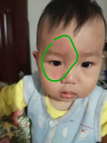 journal_insert_pic_1679288451