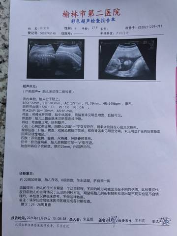 journal_insert_pic_1688399960