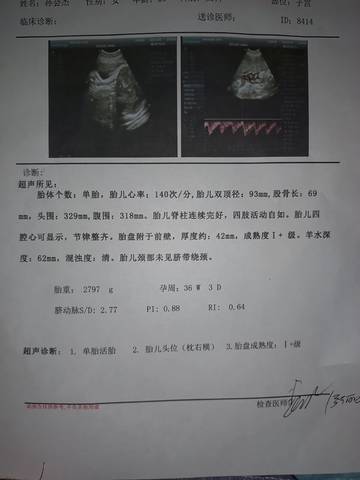 journal_insert_pic_1687883120
