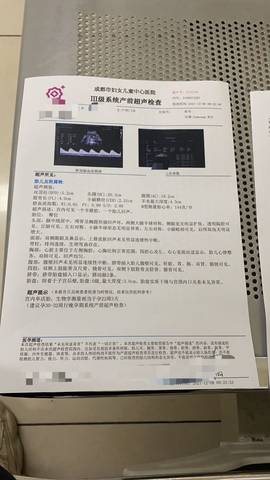 journal_insert_pic_1675999484
