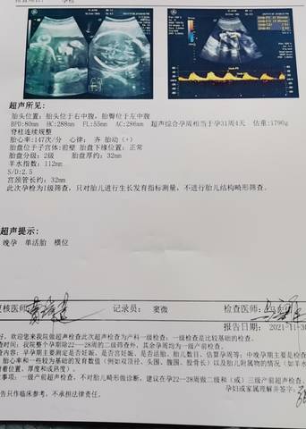 journal_insert_pic_1681370543