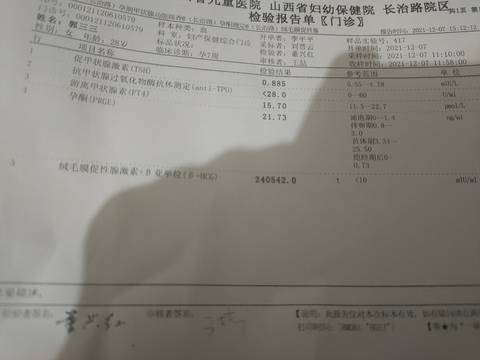 journal_insert_pic_1686797575