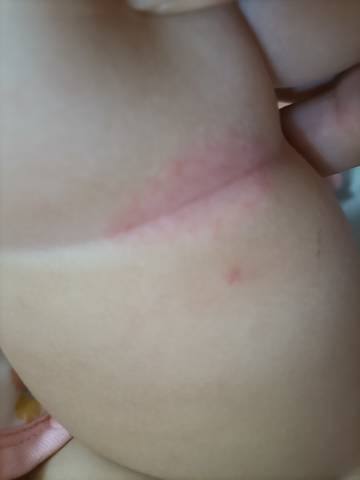 journal_insert_pic_1676100816