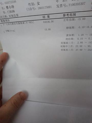 journal_insert_pic_1674157429