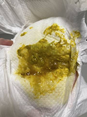 journal_insert_pic_1688735785