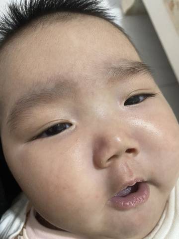 journal_insert_pic_1675635077