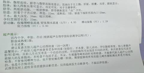 journal_insert_pic_1677449681