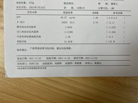 journal_insert_pic_1688029636