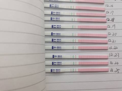 journal_insert_pic_1685884103