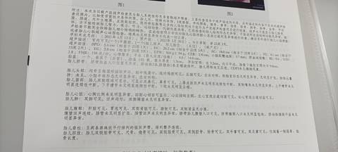 journal_insert_pic_1674599328