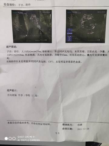 journal_insert_pic_1675576146