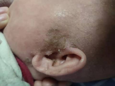 journal_insert_pic_1686560084