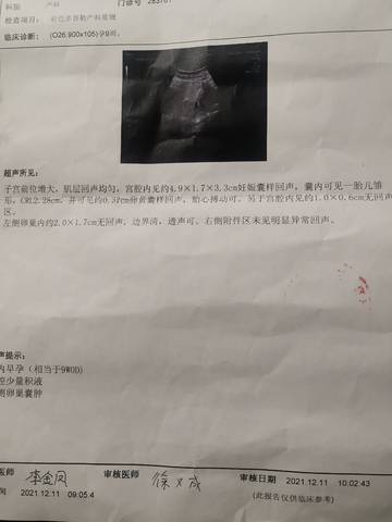 journal_insert_pic_1678101182