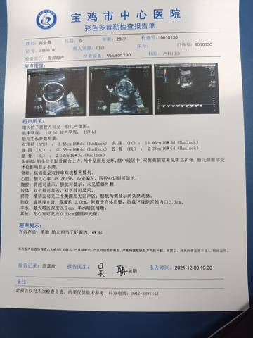 journal_insert_pic_1676981032