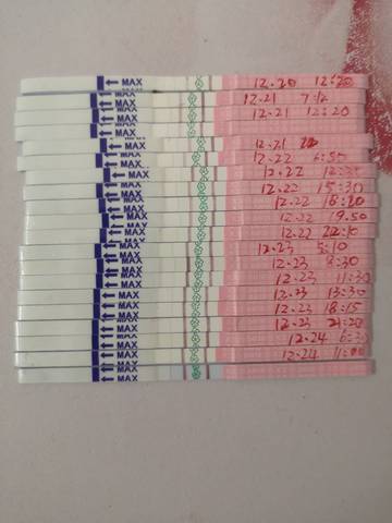 journal_insert_pic_1685448517