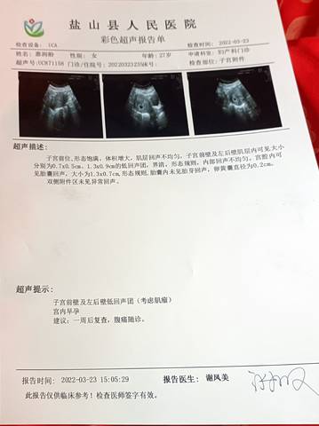 journal_insert_pic_1741067637