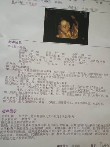 journal_insert_pic_1678225508