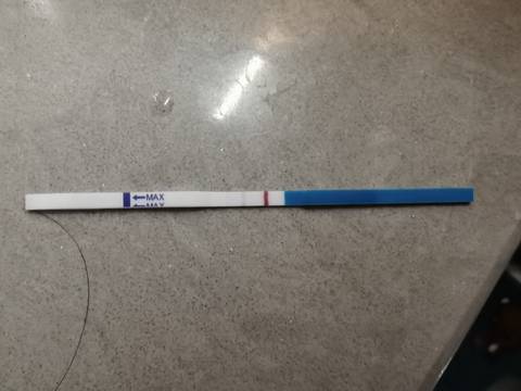 journal_insert_pic_1683477187