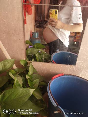 journal_insert_pic_1675336886