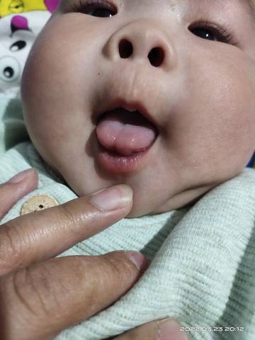 journal_insert_pic_1741135332