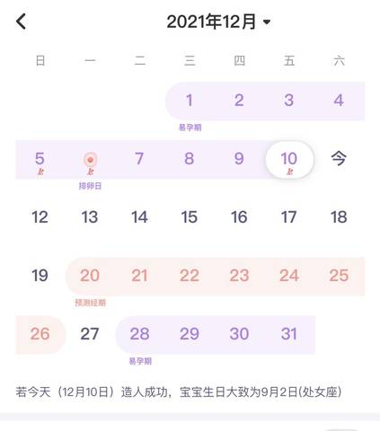 journal_insert_pic_1678109273