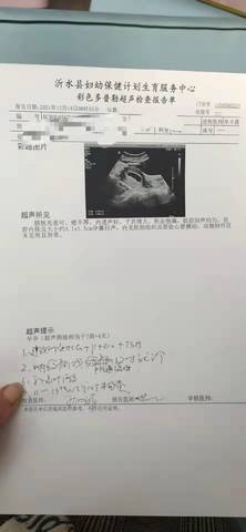 journal_insert_pic_1681676387