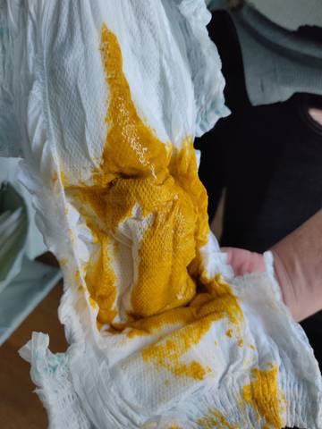 journal_insert_pic_1676543321