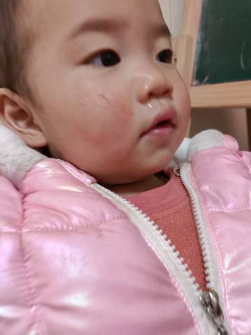 journal_insert_pic_1684414879