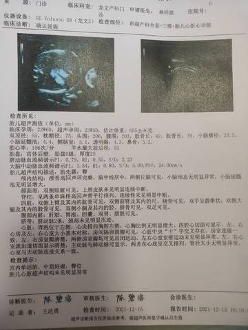 journal_insert_pic_1681118395