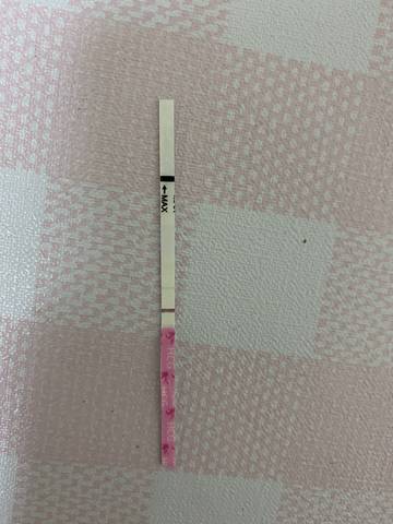 journal_insert_pic_1675871406