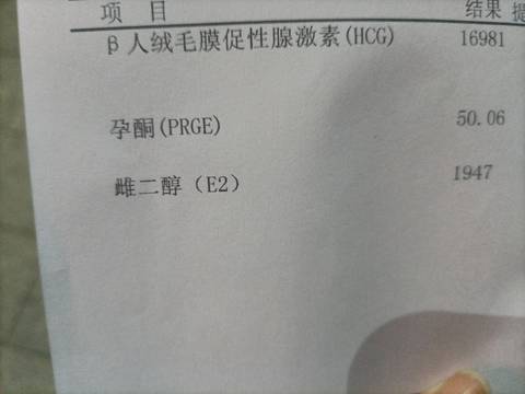 journal_insert_pic_1675576758