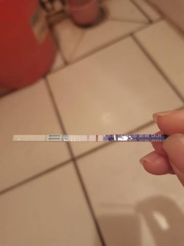 journal_insert_pic_1680148132