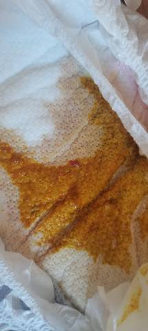 journal_insert_pic_1682854462