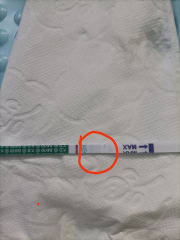 journal_insert_pic_1677026784