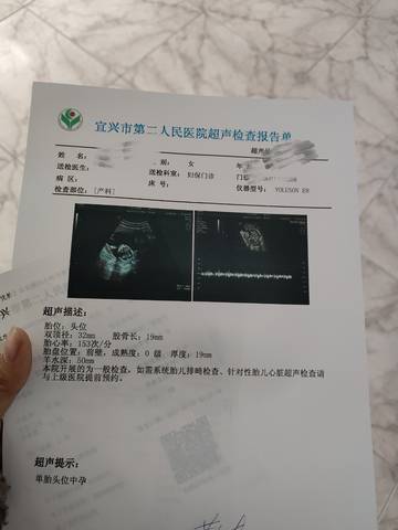 journal_insert_pic_1689172298