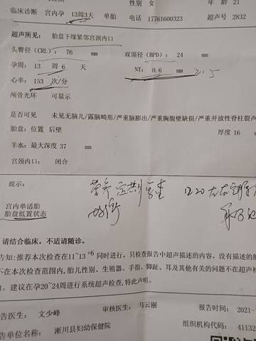 journal_insert_pic_1686306976