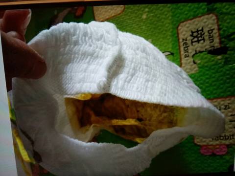 journal_insert_pic_1676740820