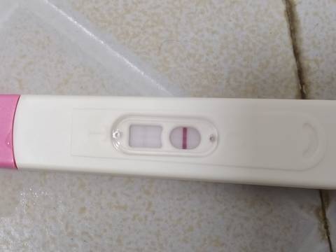 journal_insert_pic_1682661885