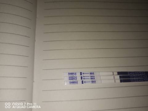 journal_insert_pic_1683779821