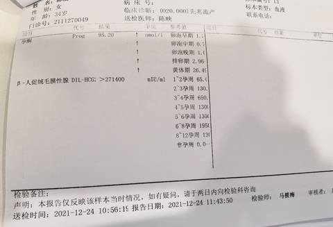 journal_insert_pic_1689569929