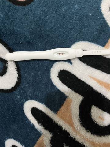 journal_insert_pic_1676617969